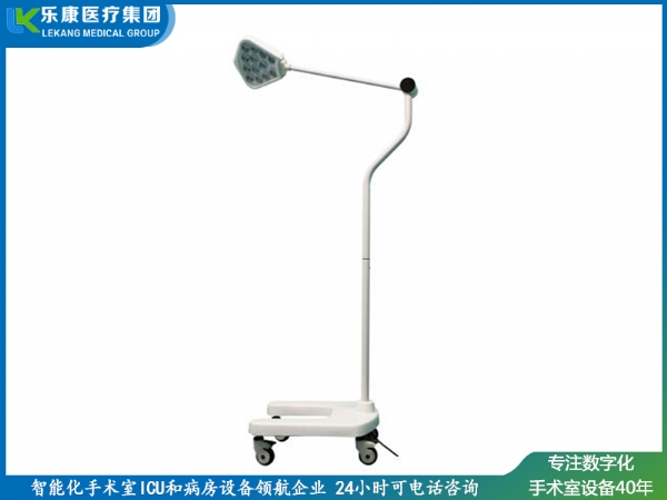 LED300